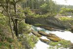 PICTURES/Cape Flattery Trail/t_P1270110.JPG